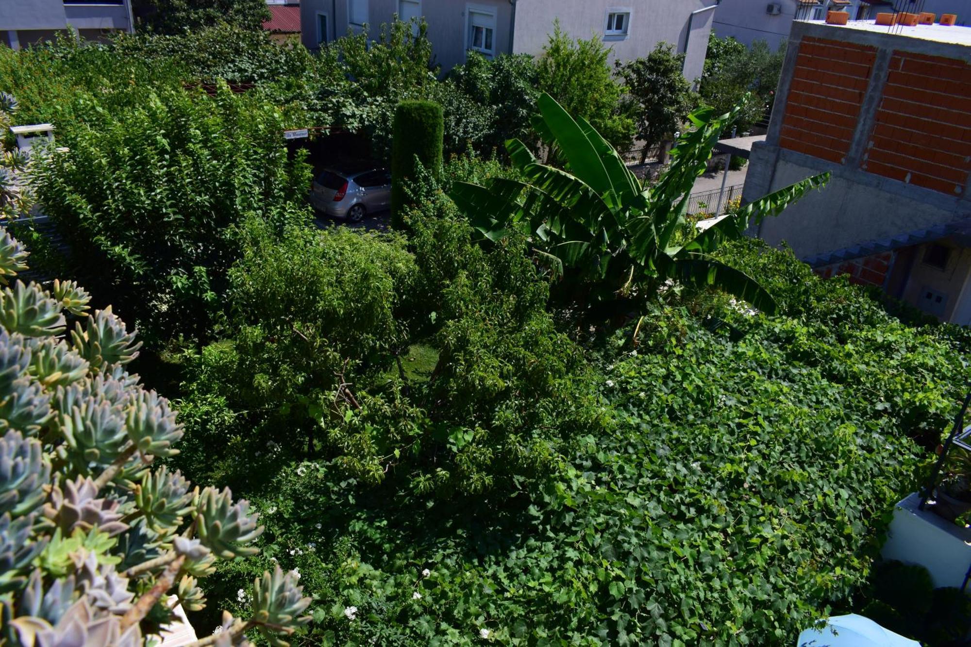 Rooms Vila Mautner Водице Екстериор снимка